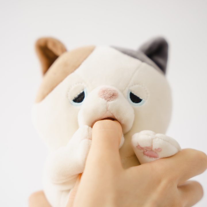 Amagami Ham Ham biting a finger.