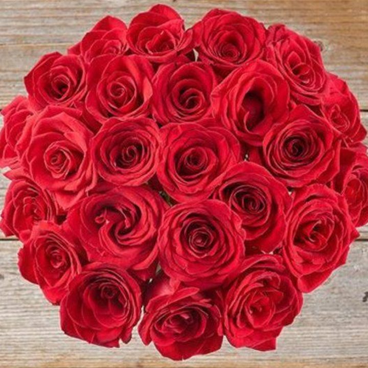 Boug's bouquet of classic red roses.