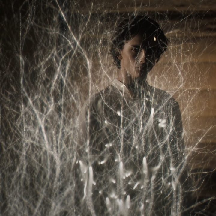 Timothée Chalamet hides inside a hologram in a scene from Dune.