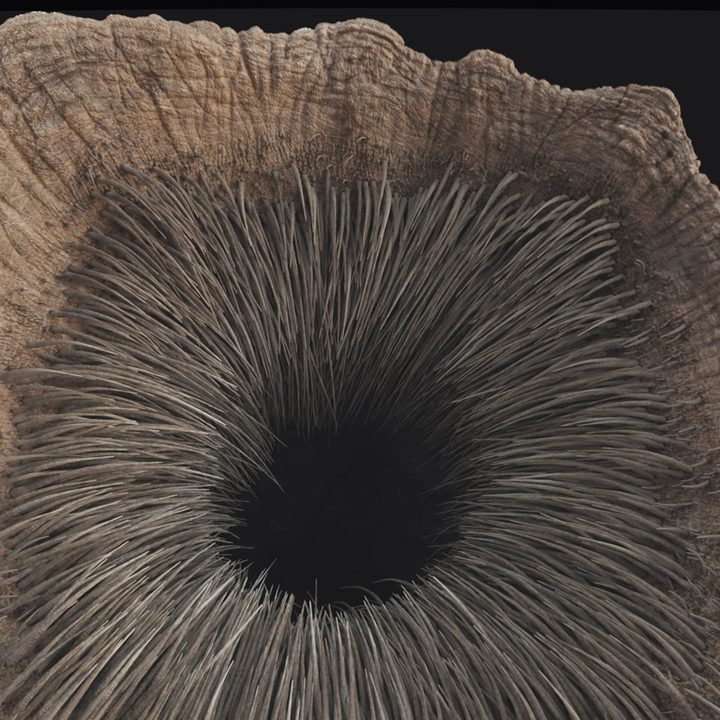 The mouth of a sandworm in a VFX shot from Dune.