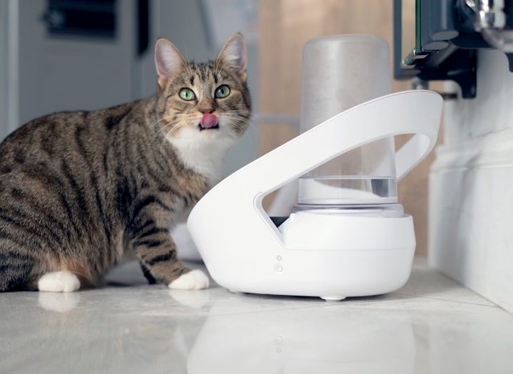 The Felaqua Connect helps track your cat's fluid intake.
