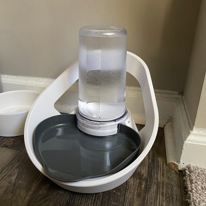 The Felaqua Connect is a great-looking water bowl.