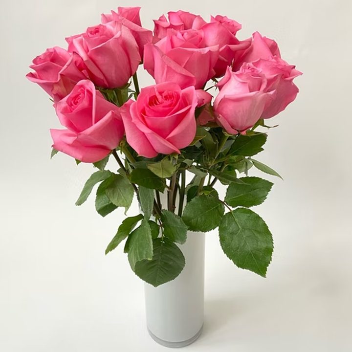 Floom Pretty Mama pink roses in a white vase.