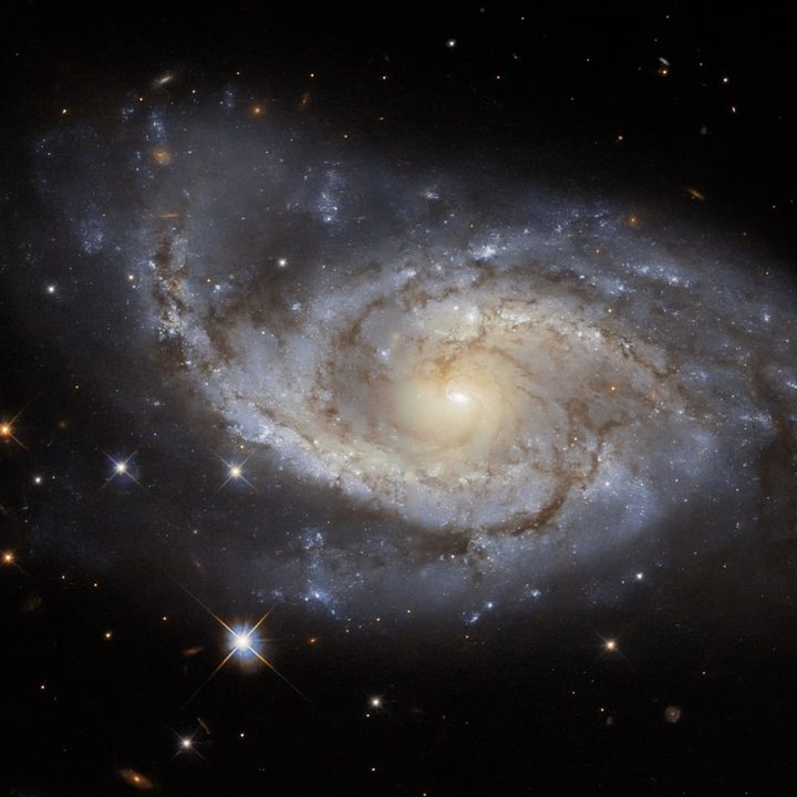 The spiral arms of the galaxy NGC 3318 are lazily draped across this image from the NASA/ESA Hubble Space Telescope.