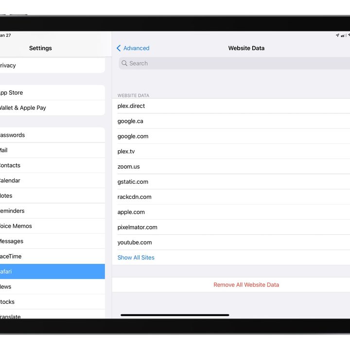 An iPad screen showing website data in Safari settings.