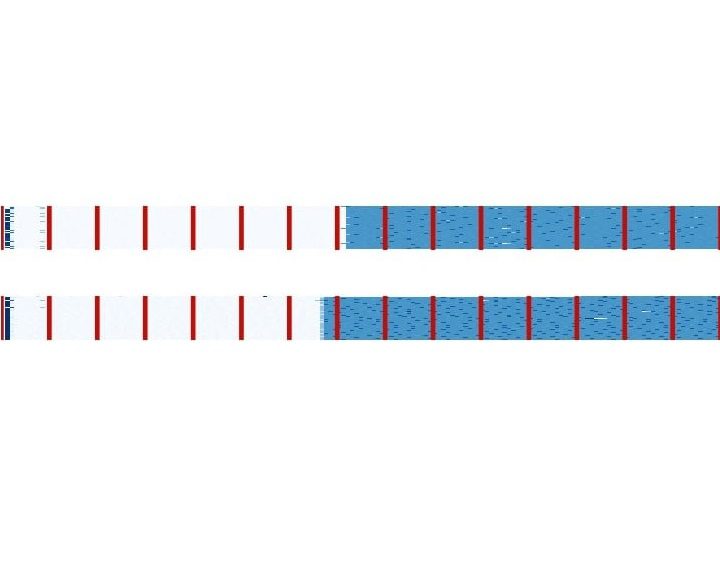 An example of the GPU fingerprinting technique.