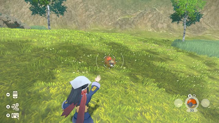A trainer tries to catch a Bidoof in Pokemon Legends: Arceus.