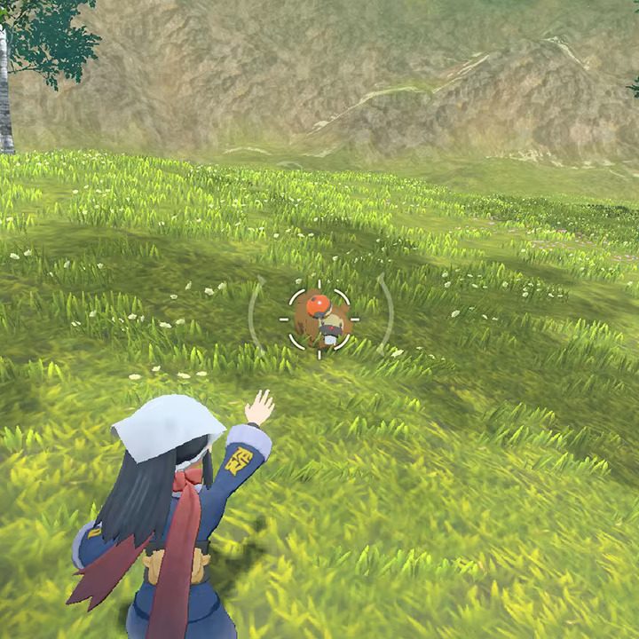 A trainer tries to catch a Bidoof in Pokemon Legends: Arceus.