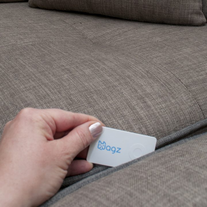 Wagz Tagz help keep pets off the furniture.
