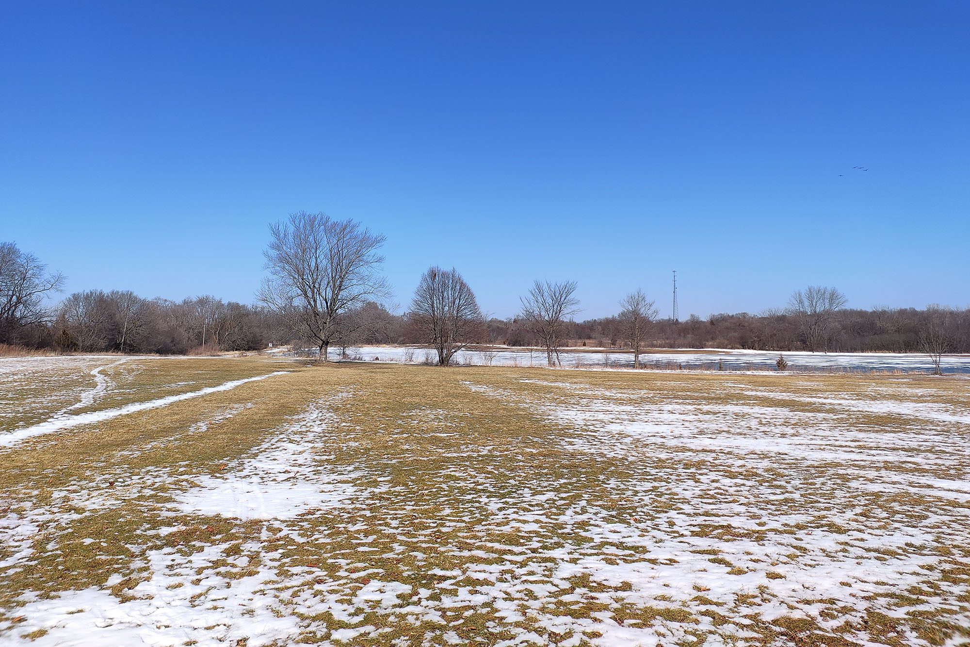 This is a photo sample of a forest taken with the main camera of the RedMagic 7.