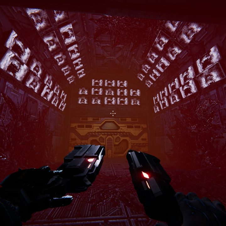 Using two magnums in Turbo Overkill.