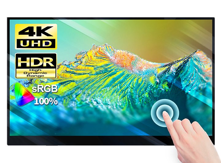 The C-Force 015XT monitor.
