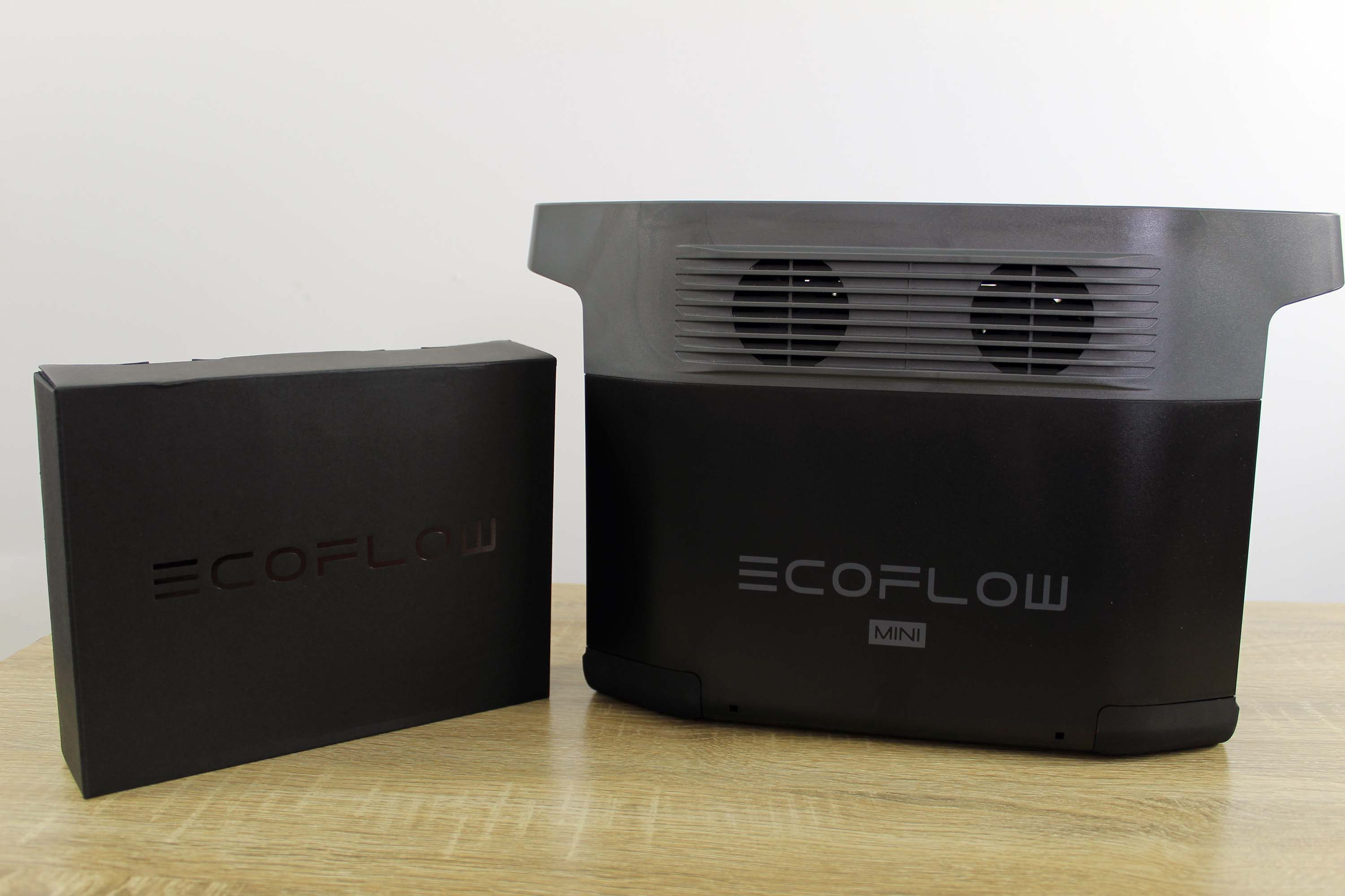 EcoFlow Delta Mini review: Small package, big battery - Digital Trends