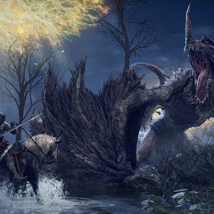 A character fights a dragon in Elden Ring.