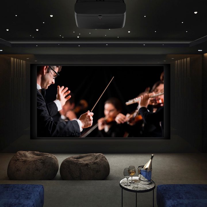 Epson Pro Cinema LS12000.