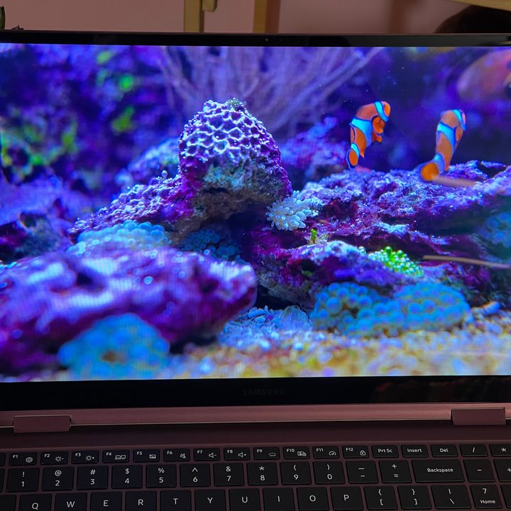 The display on the Galaxy Book Pro 360.