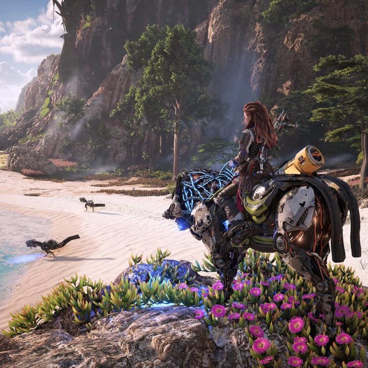 Aloy looks out over a beach in Horizon Forbidden West.