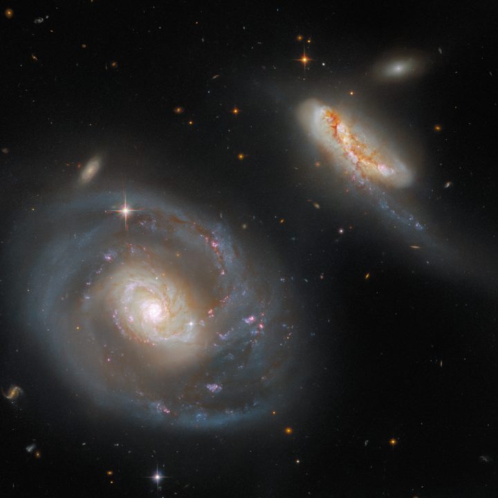 Arp 298, a stunning pair of interacting galaxies.