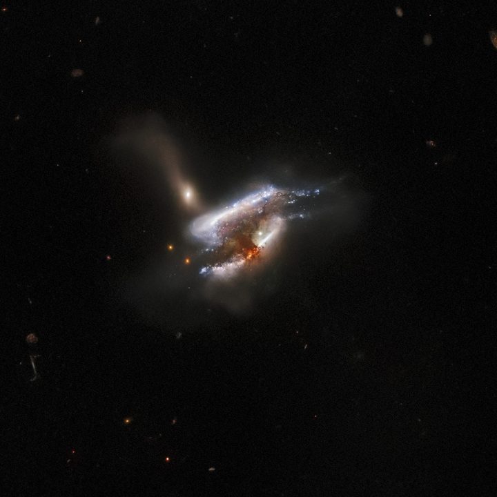 A mass of dust and bright swirls of stars in this image are the distant galaxy merger IC 243.