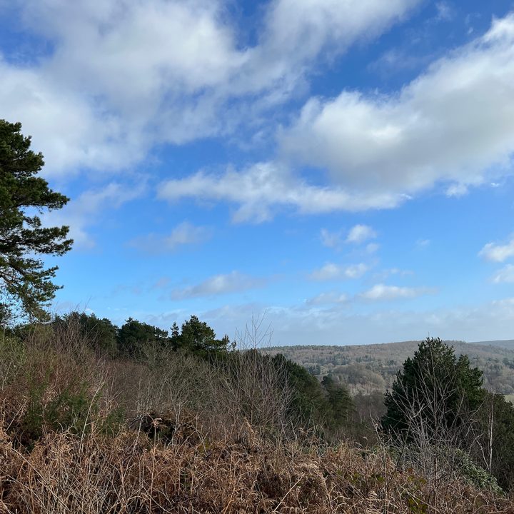 Apple iPhone 13 Pro main camera landscape photo.