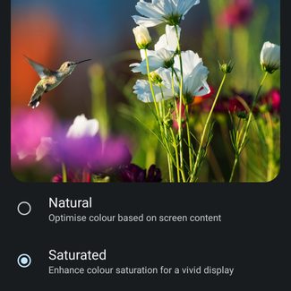 Motorola Edge Plus 2022 display color profiles.