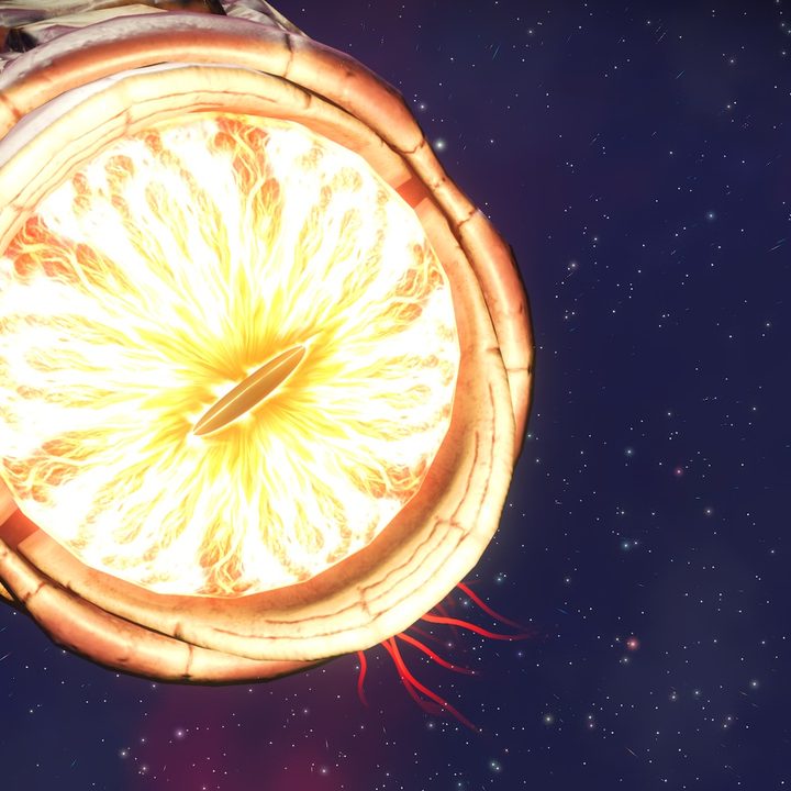 A discovery of an asteroid larvae in No Man's Sky.