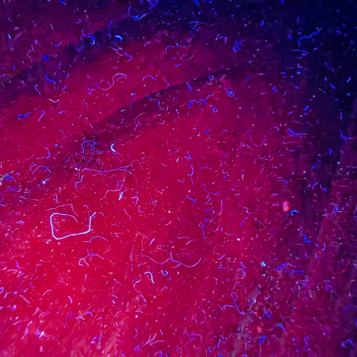 Huawei P50 Pocket fluorescence mode photo.