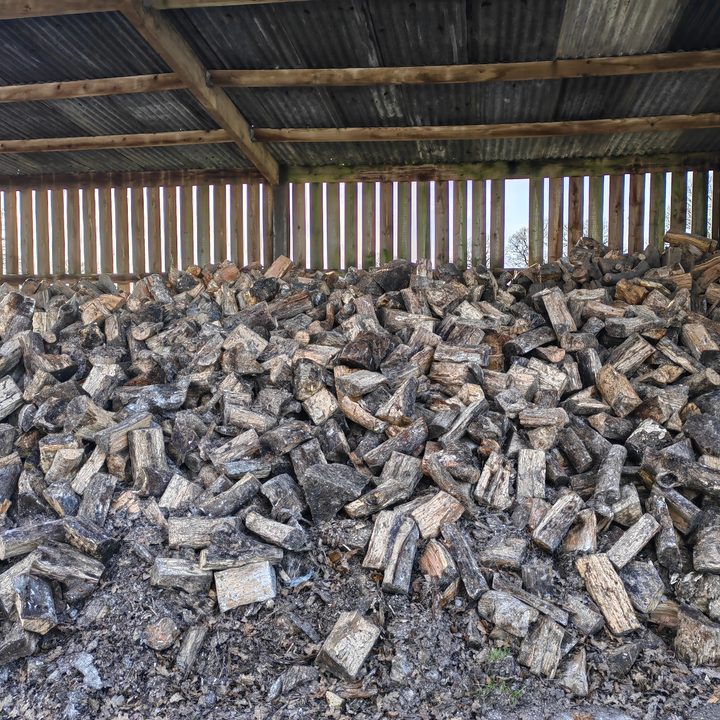 Huawei P50 Pocket photo of logs.