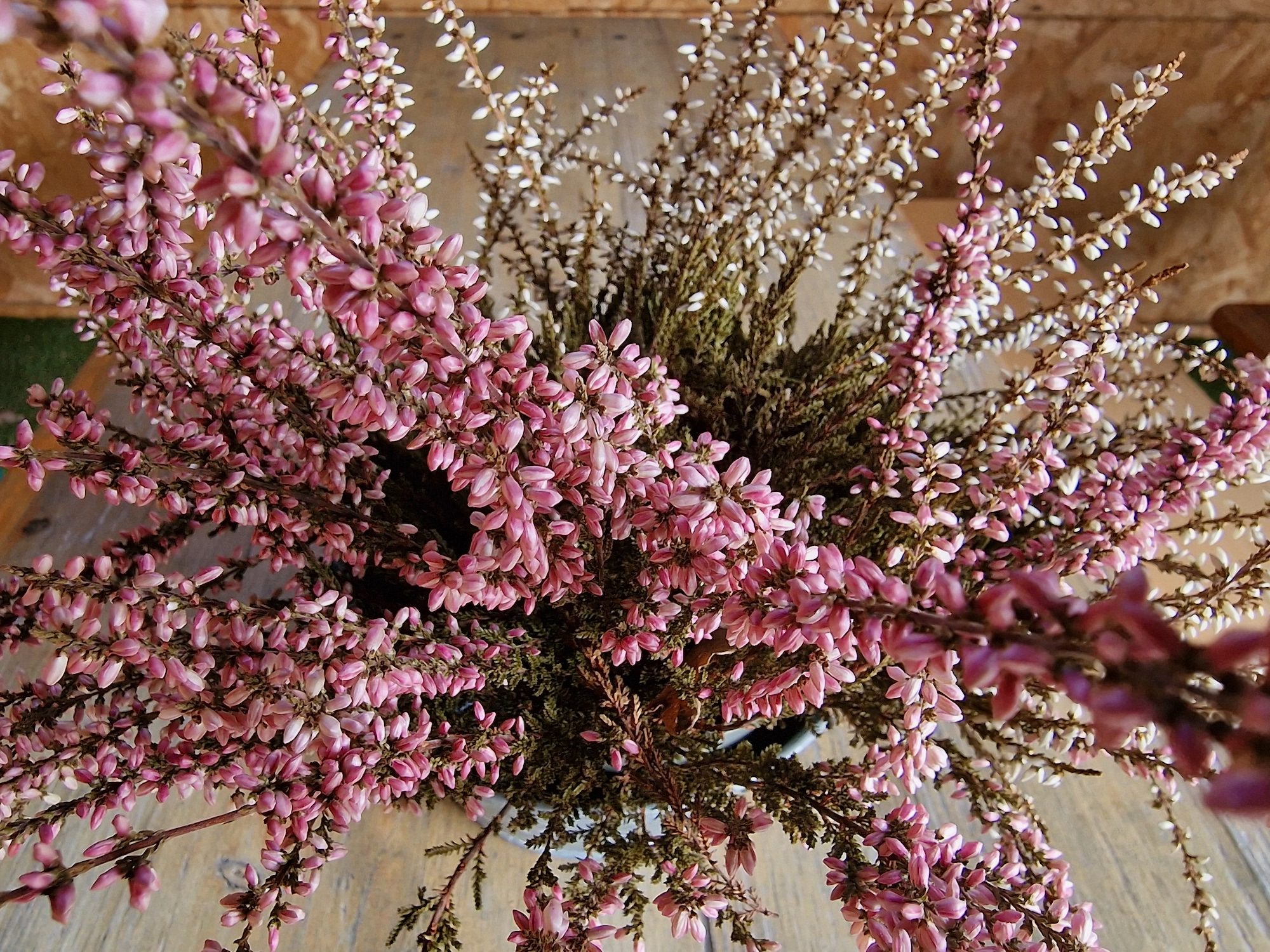 Galaxy S22 Ultra photo of flowers.