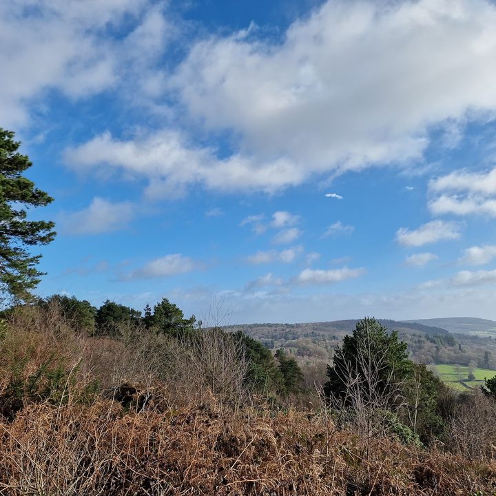 Samsung Galaxy S22 Ultra main camera photo.