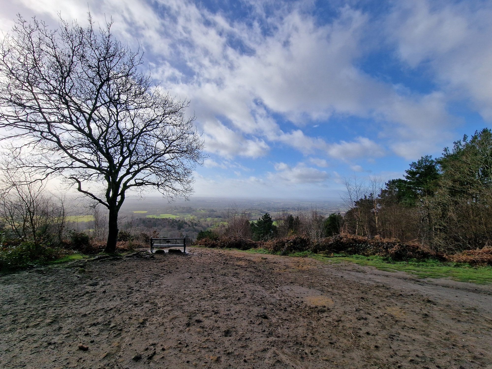 Wide-angle photo taken with the Galaxy S22 Ultra.