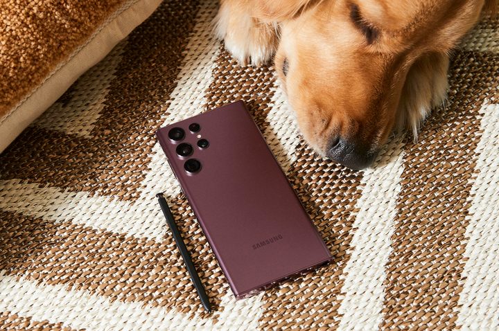 Samsung Galaxy S22 Ultra with dog.