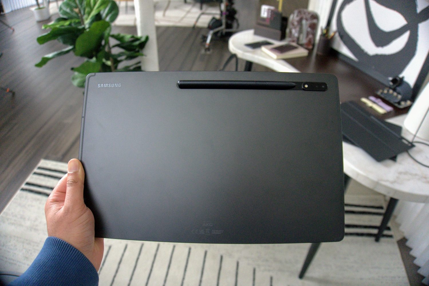 Samsung Galaxy Tab S8 Plus vs. Samsung Galaxy Tab S8 - Digital Trends