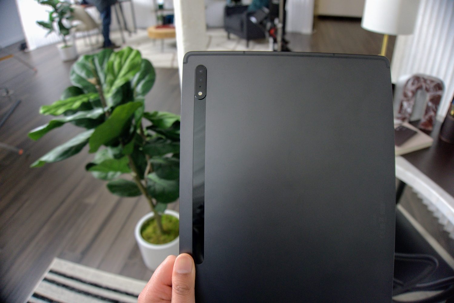 Samsung Galaxy Tab S8 Plus vs. Samsung Galaxy Tab S8 - Digital Trends