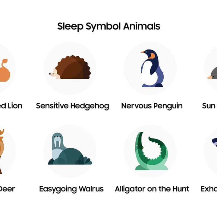 Samsung Galaxy Watch4 new sleep tracking animal symbols.