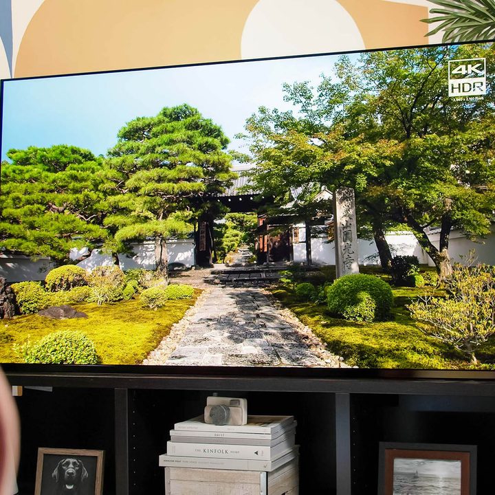 A 4K HDR program displayed on the Sony A95K TV.