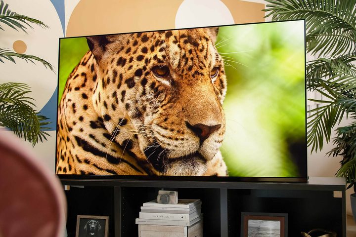Our Planet plays on the Sony A95K showing a closeup on a leopards face.
