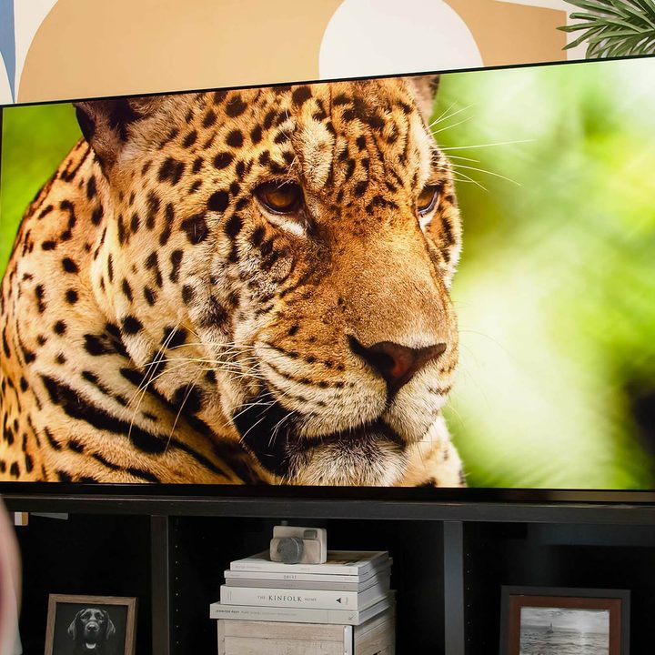 Our Planet plays on the Sony A95K showing a closeup on a leopards face.