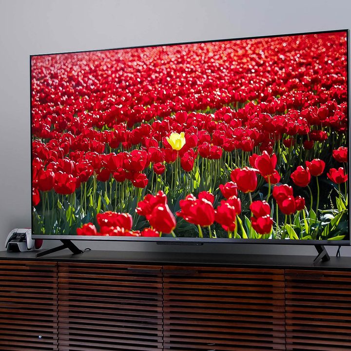 A field of roses show on the TCL 6-Series Google TV's display