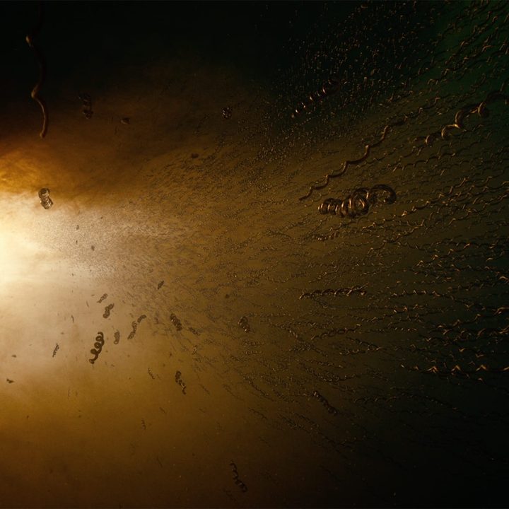 A shot of the cosmos forming in The Tree of Life.