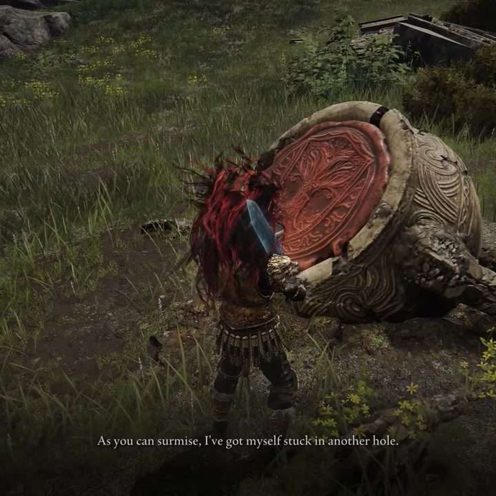 Alexander stuck in another hole in Elden Ring.