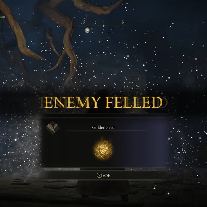 Beating a boss and getting a seed.