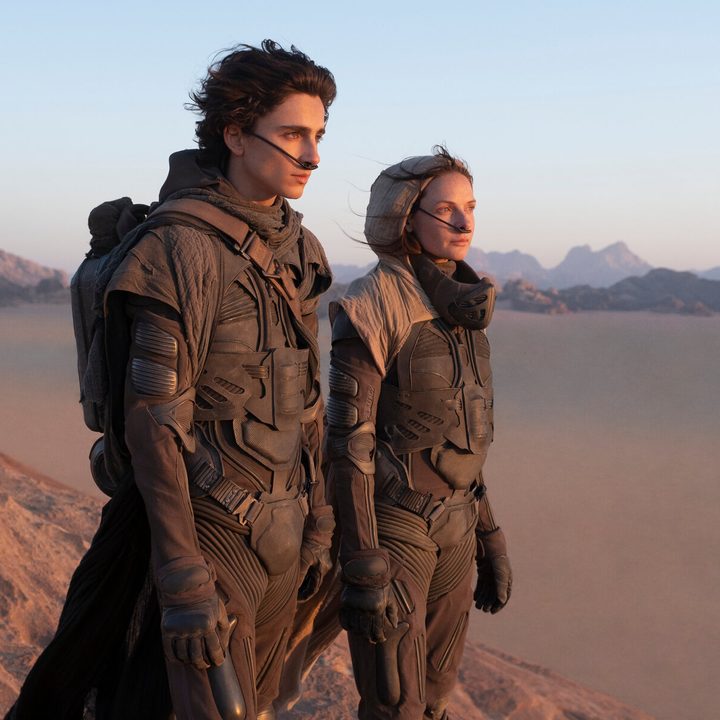 Timothee Chalamet and Rebecca Fergusson stare off at the desert in Dune.