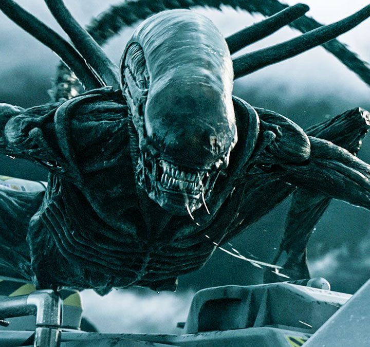 A Xenomorph in Alien Covenant.