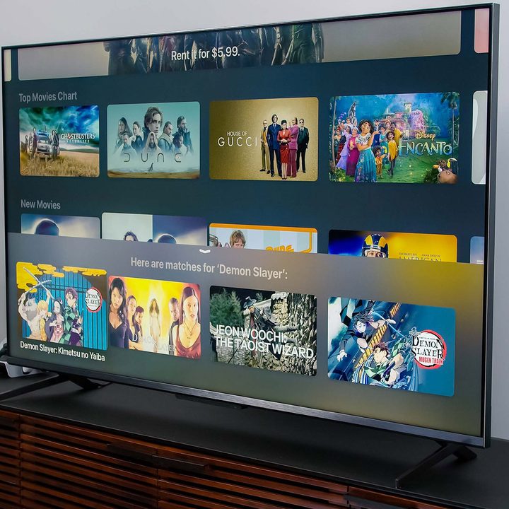 Results from Apple 4K TV voice control search.