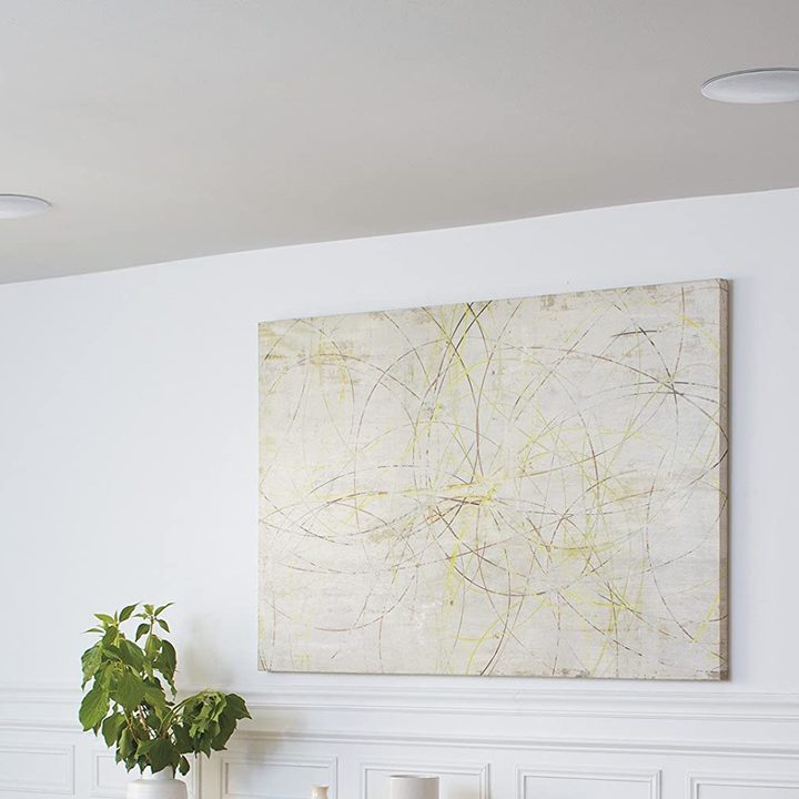 Bose Ceiling Speakers.