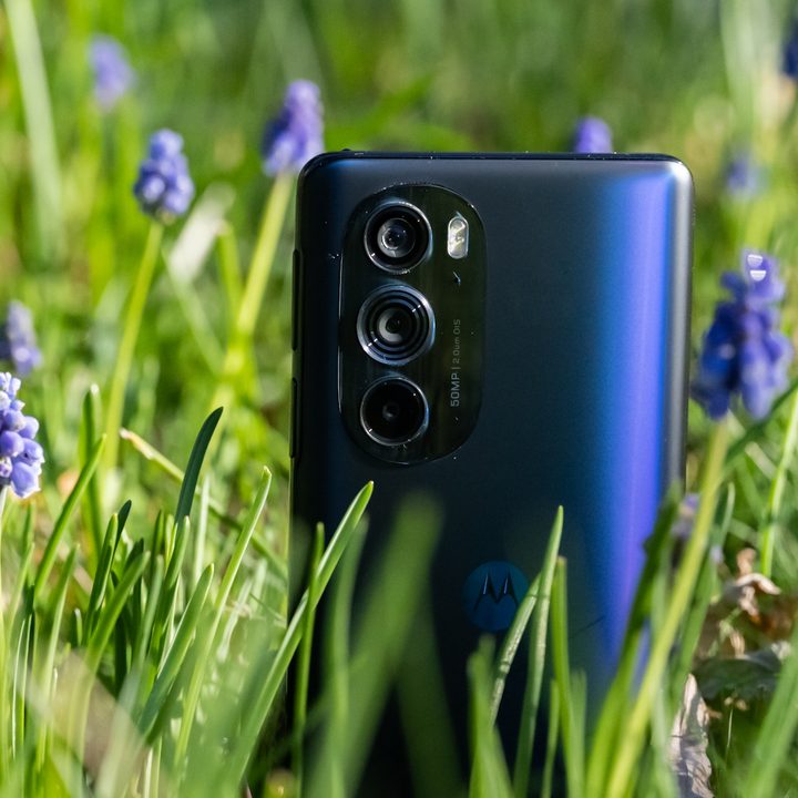 Motorola Edge+ (2022) in a patch of bluebell flowers.