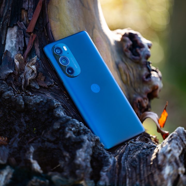 Motorola Edge+ (2022) resting in the gnarled bark of Pacific Madrone tree.