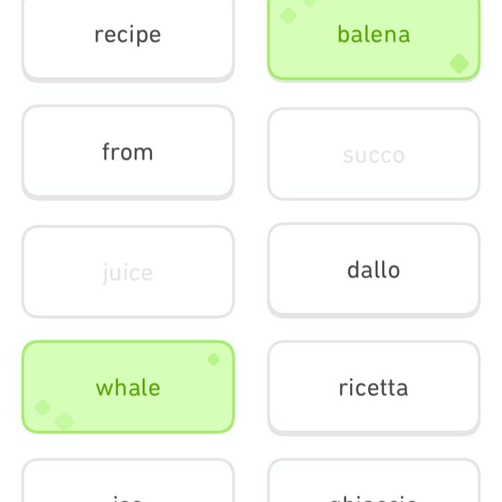 Answering a lesson in Duolingo.