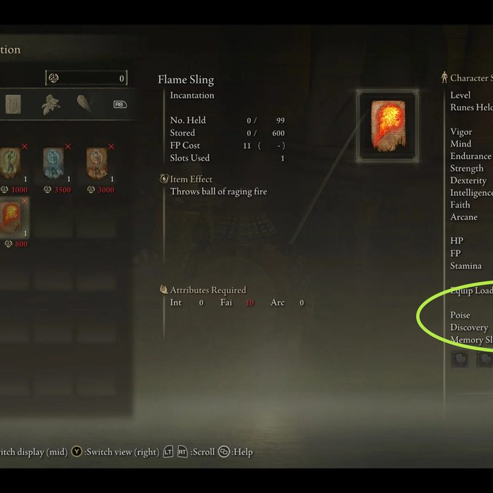 The Elden Ring Character stats.